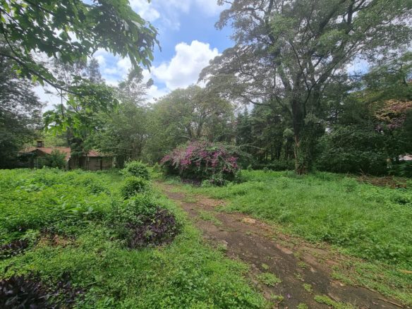 1.413 Acre RESIDENTIAL LAND LAIKIPIA ROAD KILELESHWA