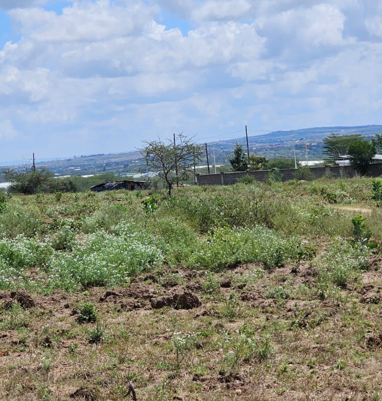 20 acres prime land for sale in athi river Near Nova Pioneer School